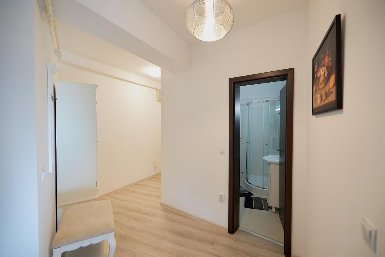 Alessandro Home 2 Luxury Centru Palas Mall Iasi Moldovei 30 外观 照片
